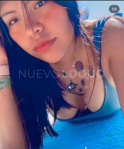 NuevoLoquo3