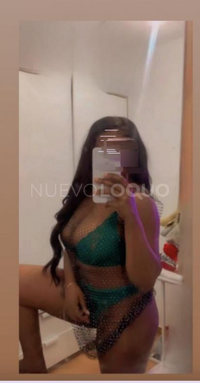 NuevoLoquo3