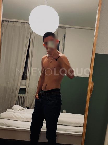 NuevoLoquo2