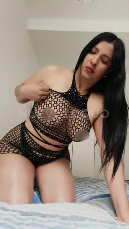 NuevoLoquo2