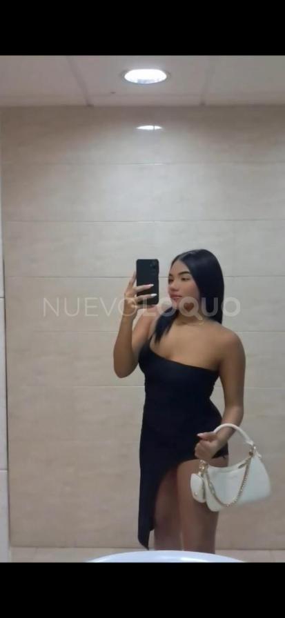 NuevoLoquo3