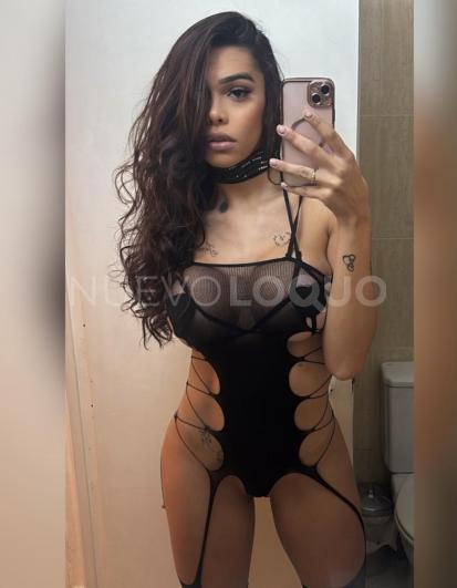 NuevoLoquo3