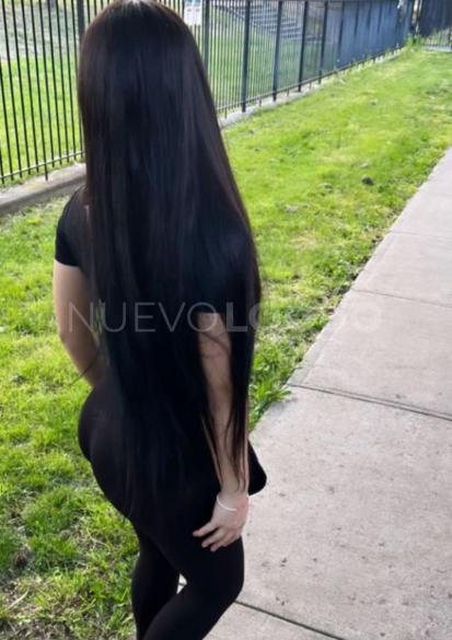 NuevoLoquo2