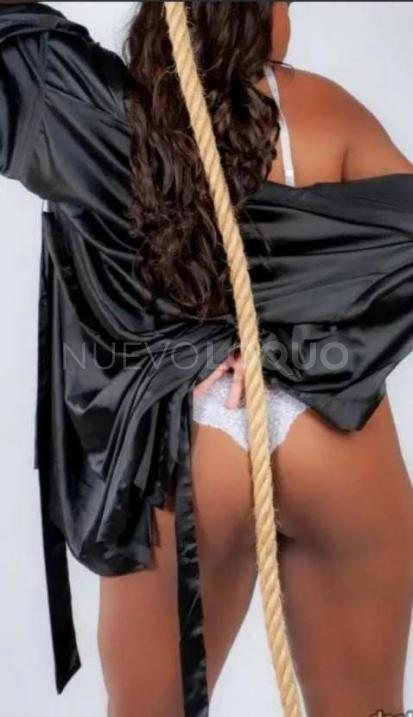  Candela latina