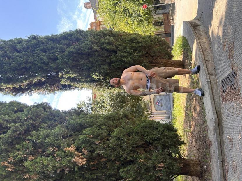 NuevoLoquo3