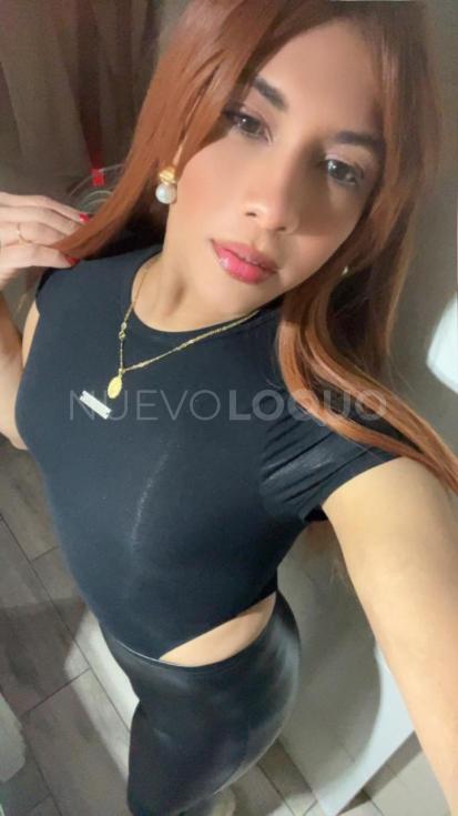 NuevoLoquo1