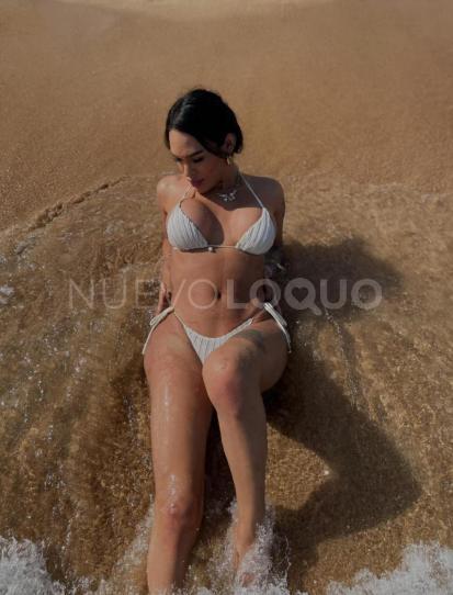 NuevoLoquo3