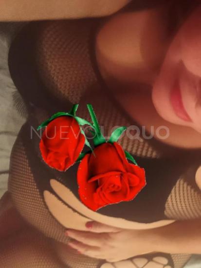 NuevoLoquo2