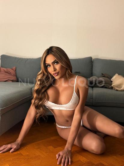 NuevoLoquo4