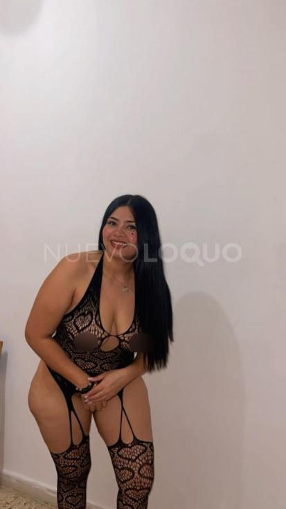 NuevoLoquo4