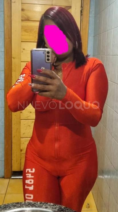NuevoLoquo2