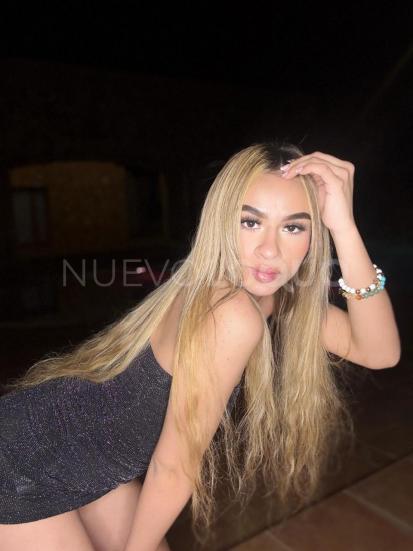 NuevoLoquo2