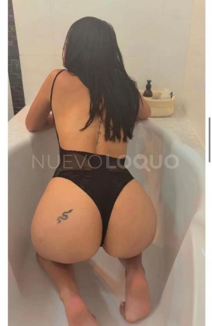 NuevoLoquo2