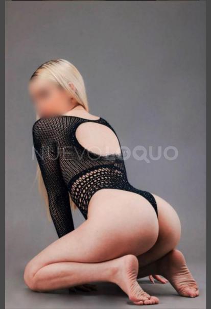 NuevoLoquo4