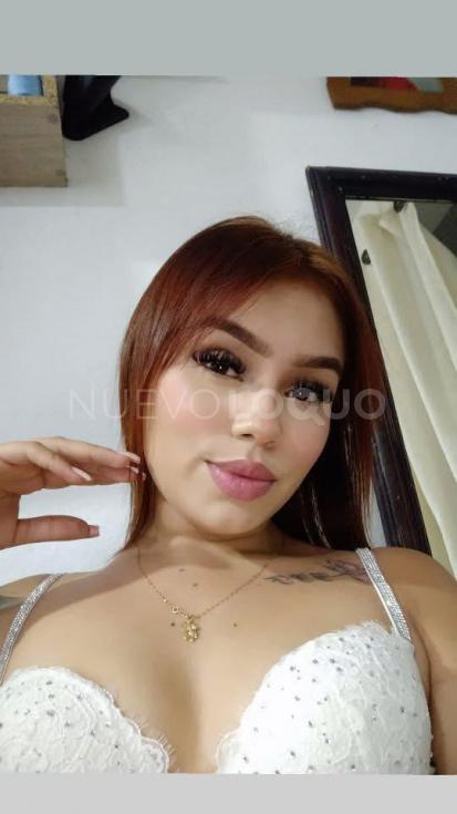 NuevoLoquo2