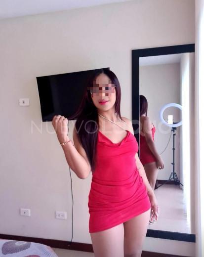 NuevoLoquo2