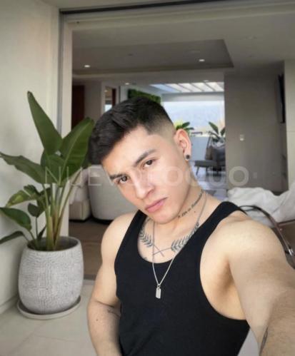 NuevoLoquo4