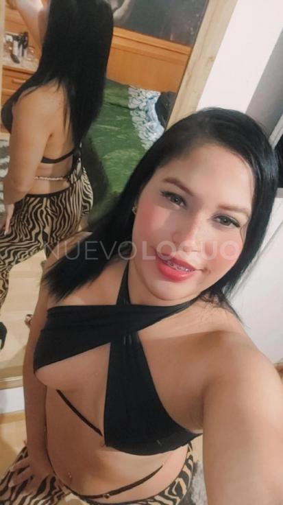 NuevoLoquo2