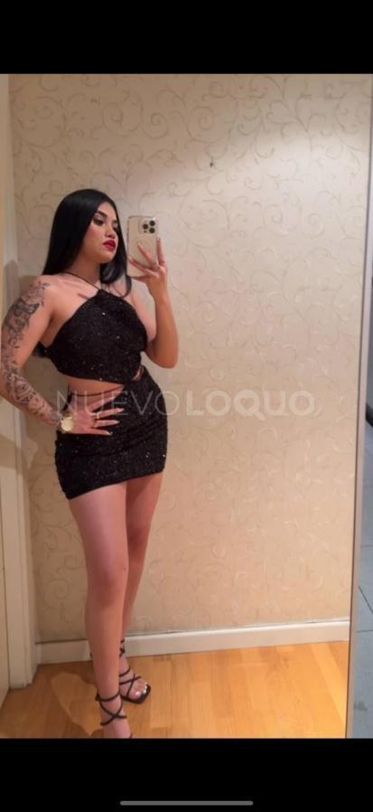 NuevoLoquo4