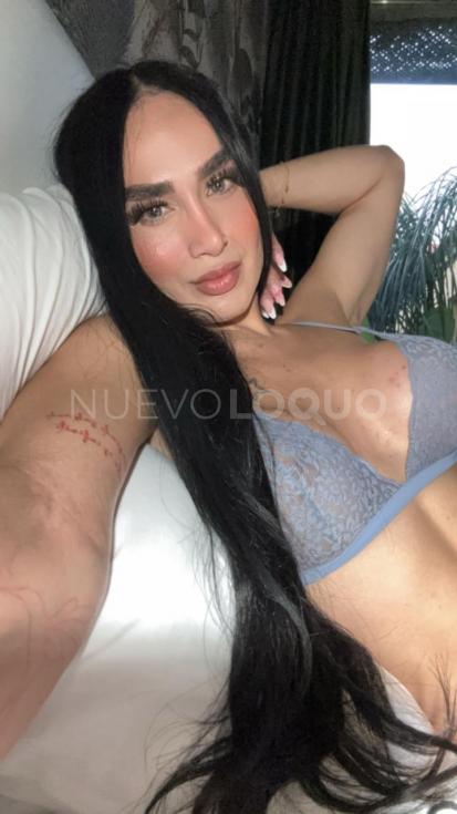 NuevoLoquo3