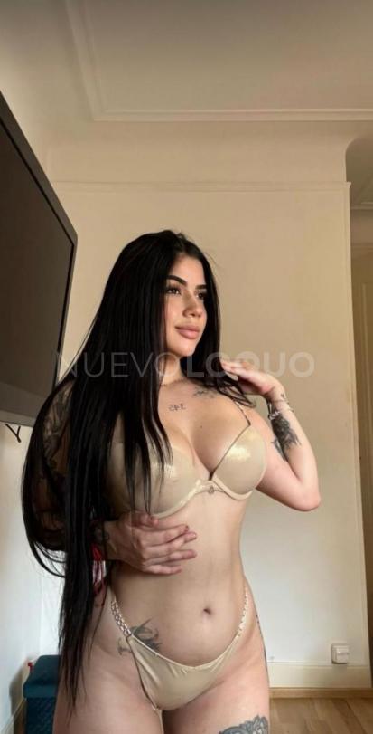 NuevoLoquo4