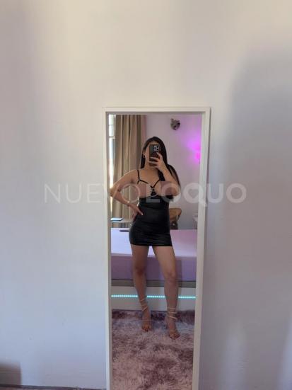 NuevoLoquo3