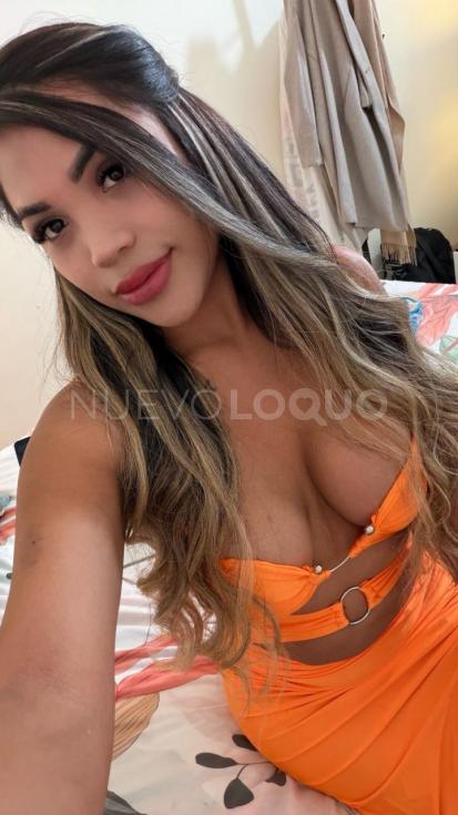 NuevoLoquo4
