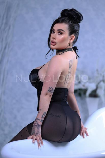 NuevoLoquo3
