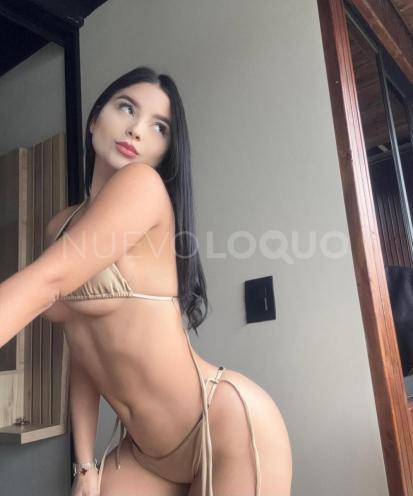 NuevoLoquo1