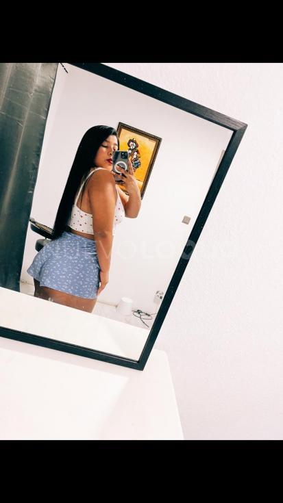 NuevoLoquo2