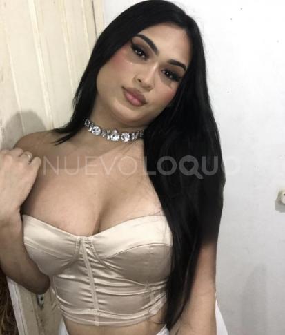 NuevoLoquo2