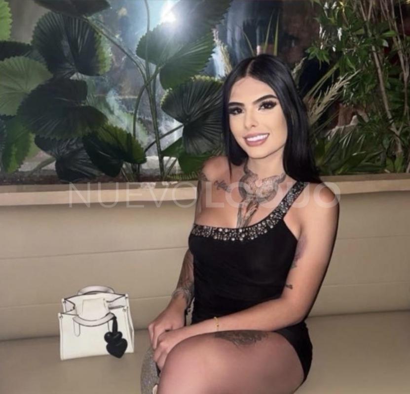 NuevoLoquo3