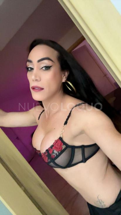 NuevoLoquo4