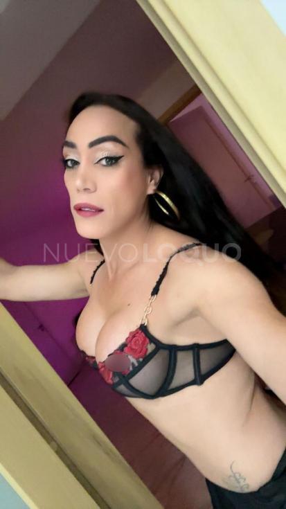NuevoLoquo4