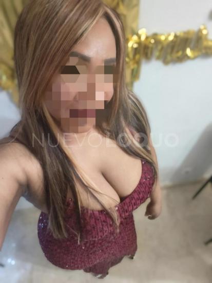 NuevoLoquo1