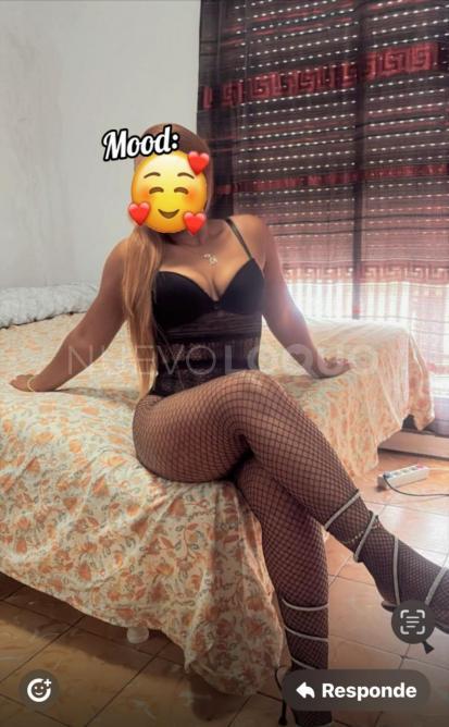 NuevoLoquo1