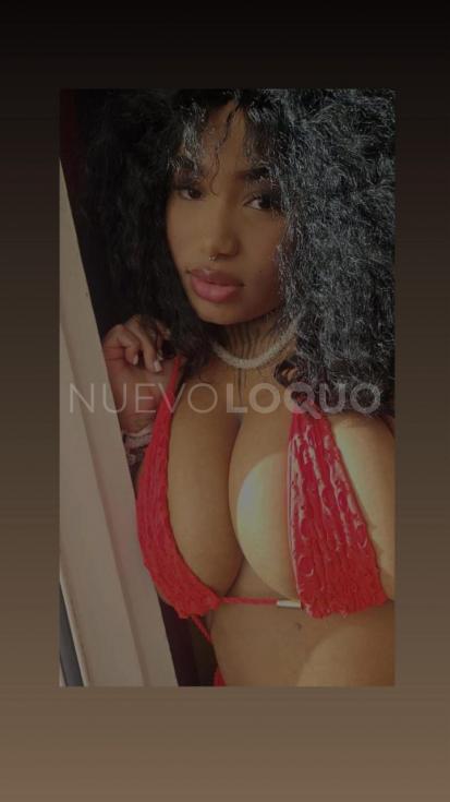 NuevoLoquo2