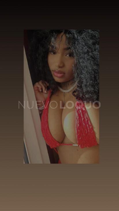 NuevoLoquo3