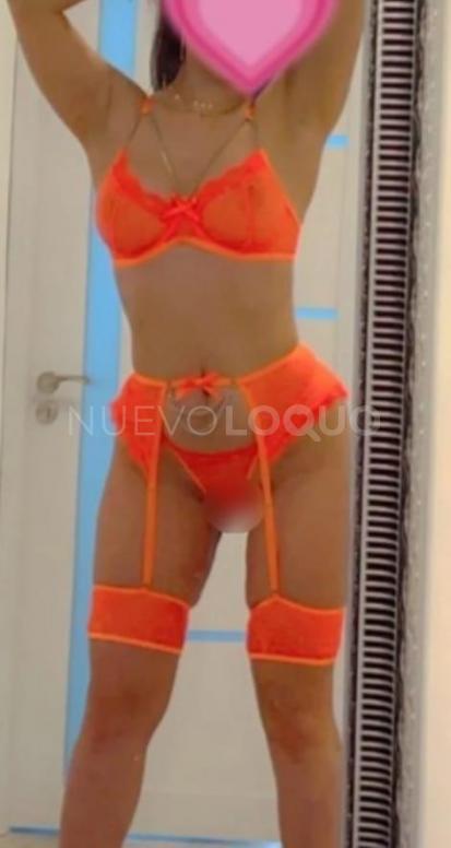  Novedad acompañante sexy caliente
