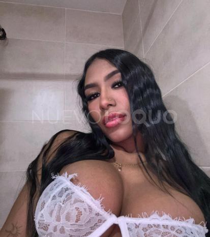 NuevoLoquo1