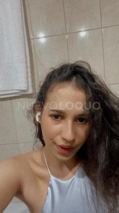 NuevoLoquo3