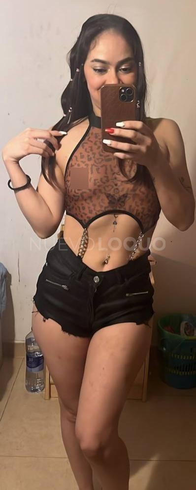 NuevoLoquo3