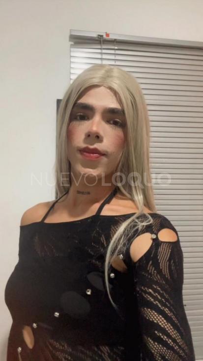 NuevoLoquo3