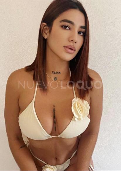 NuevoLoquo1