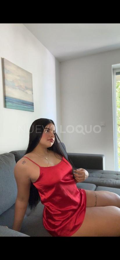 NuevoLoquo3