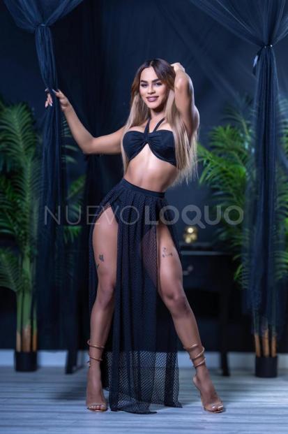 NuevoLoquo1