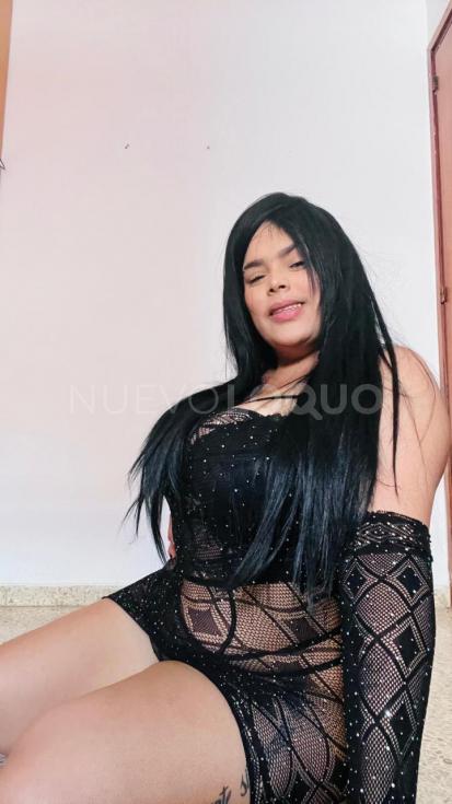 NuevoLoquo3