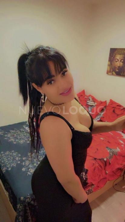 NuevoLoquo3