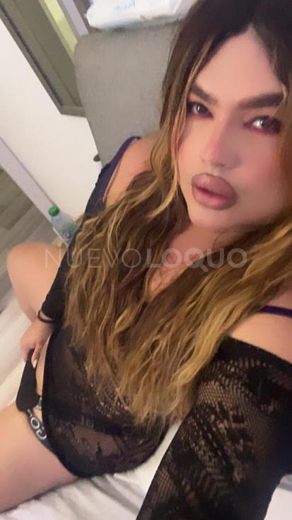  Novedad latina bomba sexy