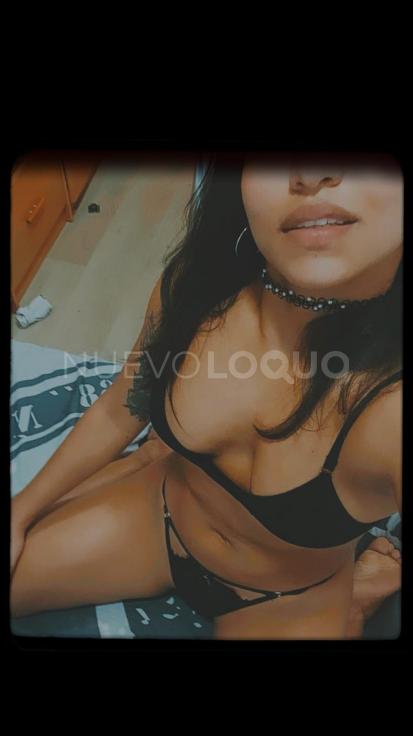 NuevoLoquo3